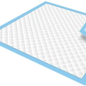 SABANITAS DESECHABLES 24"X28" PAQ.